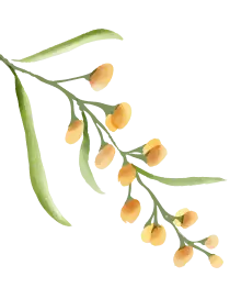 flower-side