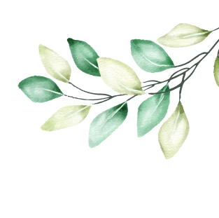 leaves image about