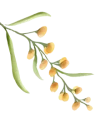 flower-side flower-side