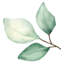 host leave