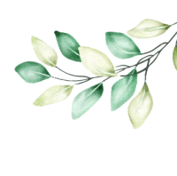 leaves image about